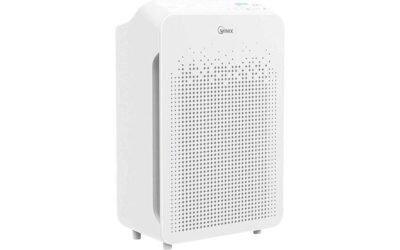 Winix Air Cleaner C545 Review: A Game-Changing Allergy Solution