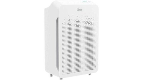 Winix Air Cleaner C545 Review: A Game-Changing Allergy Solution - Air ...