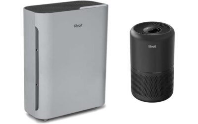 LEVOIT Air Purifier Review: Allergy Relief at Home
