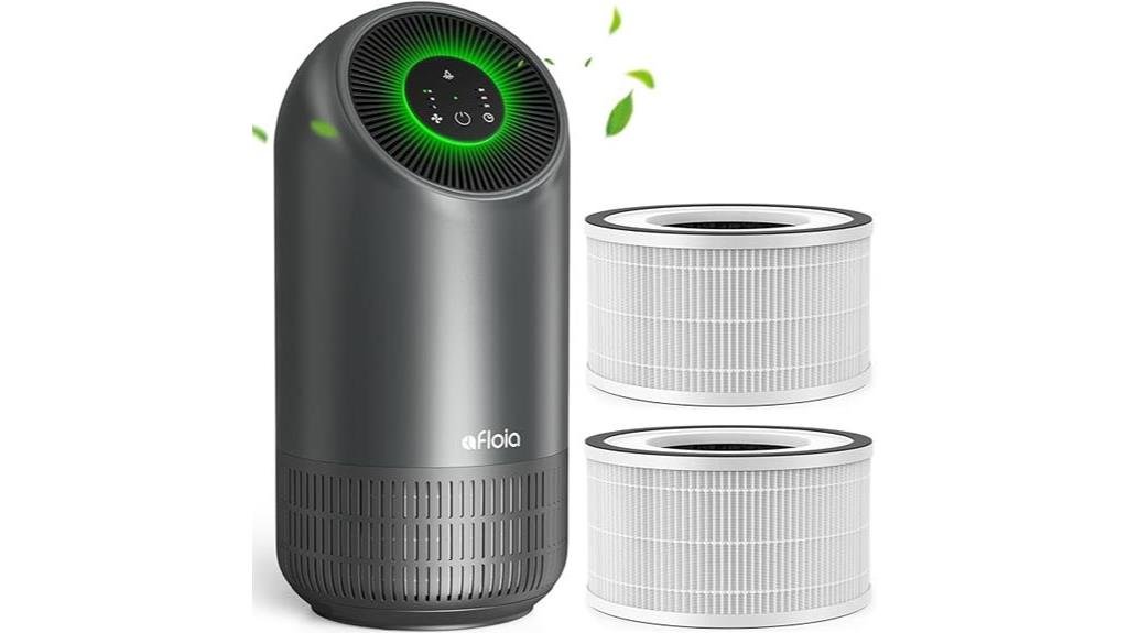 effective and affordable air purifier