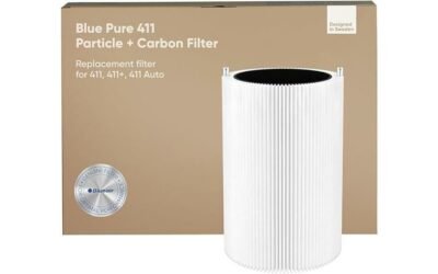 Blue Pure 411 Filter Review