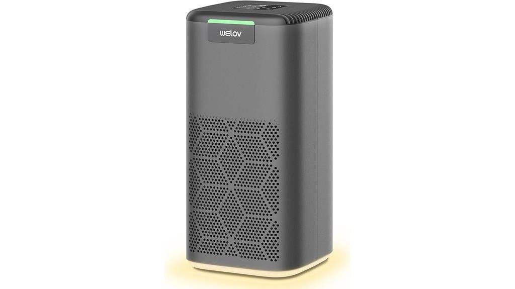 effective and affordable air purifiers