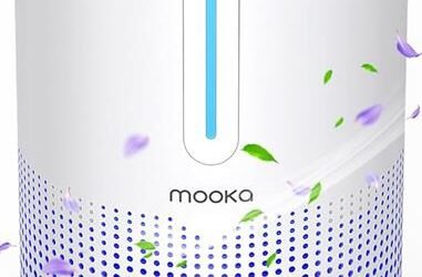 MOOKA Air Purifier Review: Portable and Powerful