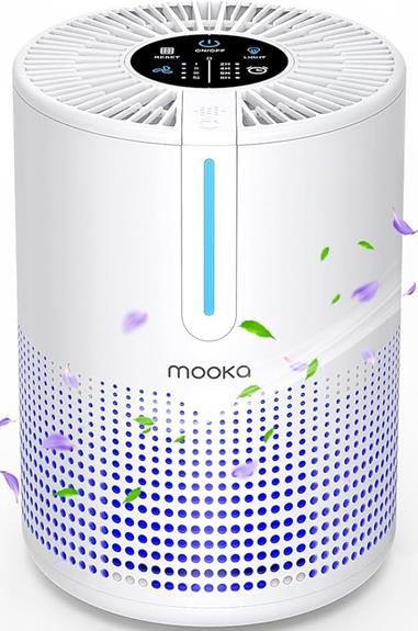 effective and convenient air purifier