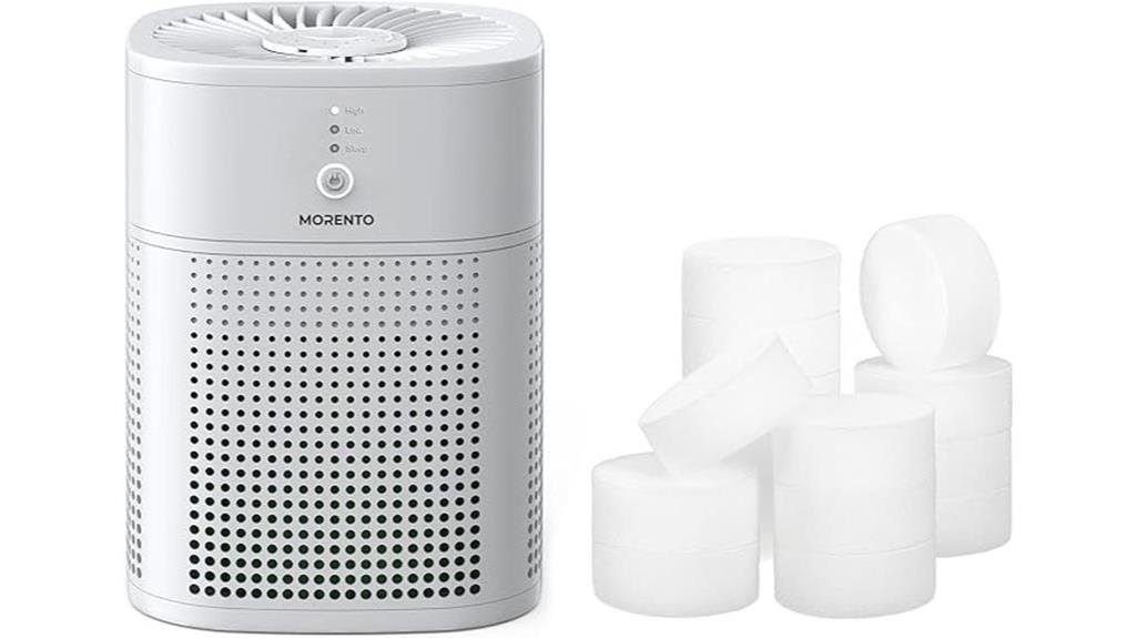 effective and efficient air purifier