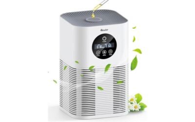 VEWIOR Air Purifier Review