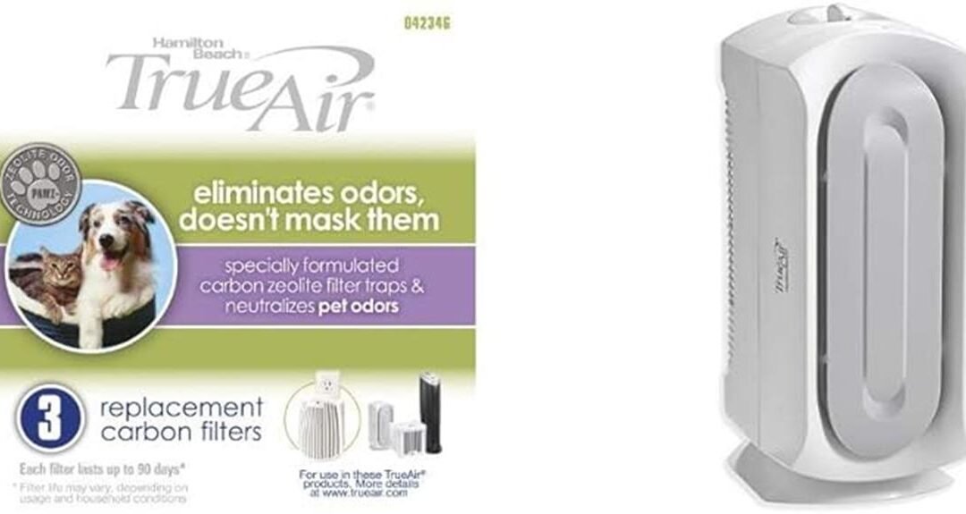 Hamilton Beach TrueAir Carbon Filter Review