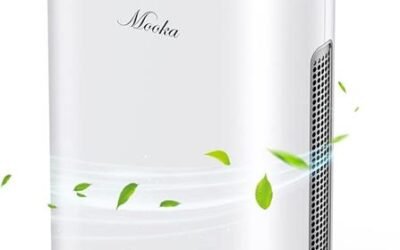 Mooka True HEPA Air Purifier Review