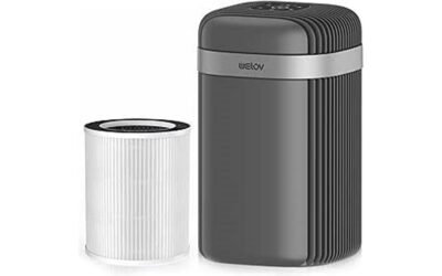 Welov H13 True HEPA Air Purifiers Review