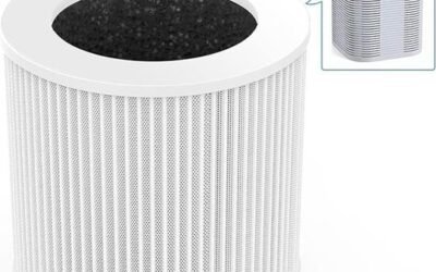 VEWIOR H13 True HEPA Filter Review