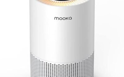 Mooka True HEPA Filter Cleaner: A Review