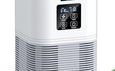 VEWIOR Air Purifier Review: Clean Air at Home