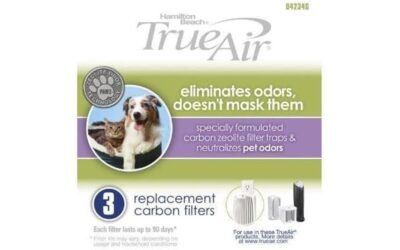 Hamilton Beach TrueAir Replacement Carbon Filter Review