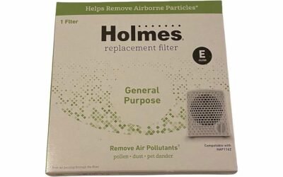 HOLMES Odor Grabber Replacement Filter – Product Review