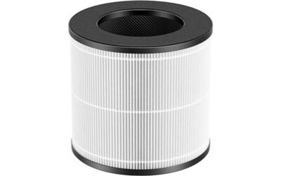 Purivortex AC300 Replacement Filter Review