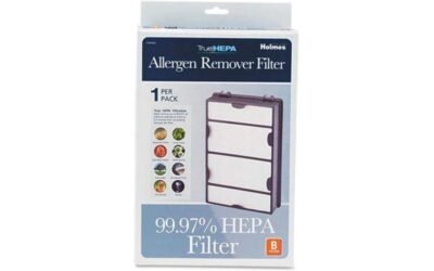 Holmes HAPF600 Allergen Replacement HEPA Filter Review