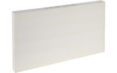 Sharp True HEPA Replacement Filter Review