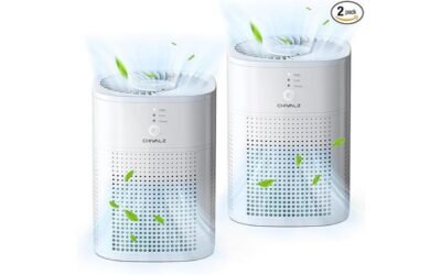 CHIVALZ Air Purifier Review: Sleep Mode Delight