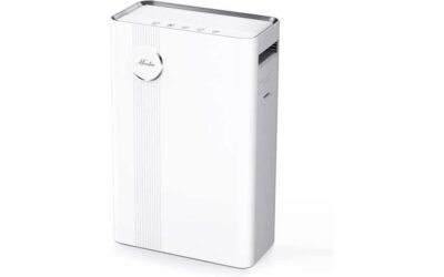 MOOKA Air Purifier Review: Clean Air at Home