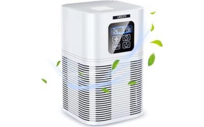 AMEIFU Air Purifier Review: Clean Air for Your Home