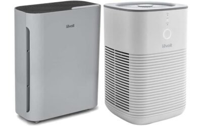 LEVOIT Vital 100 Air Purifier Review