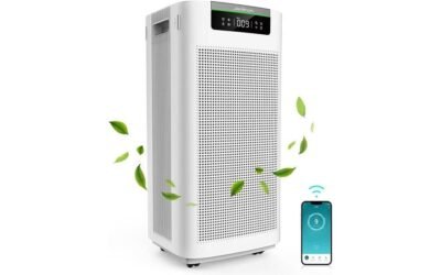 Jafända Air Purifier Review: Clean Air Made Easy