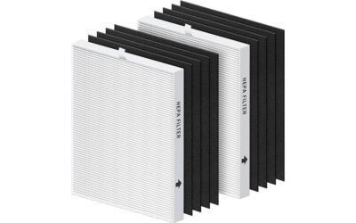 CHIVALZ Coway Airmega Filter Review