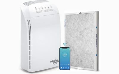 MSA3S Smart Air Purifier Review