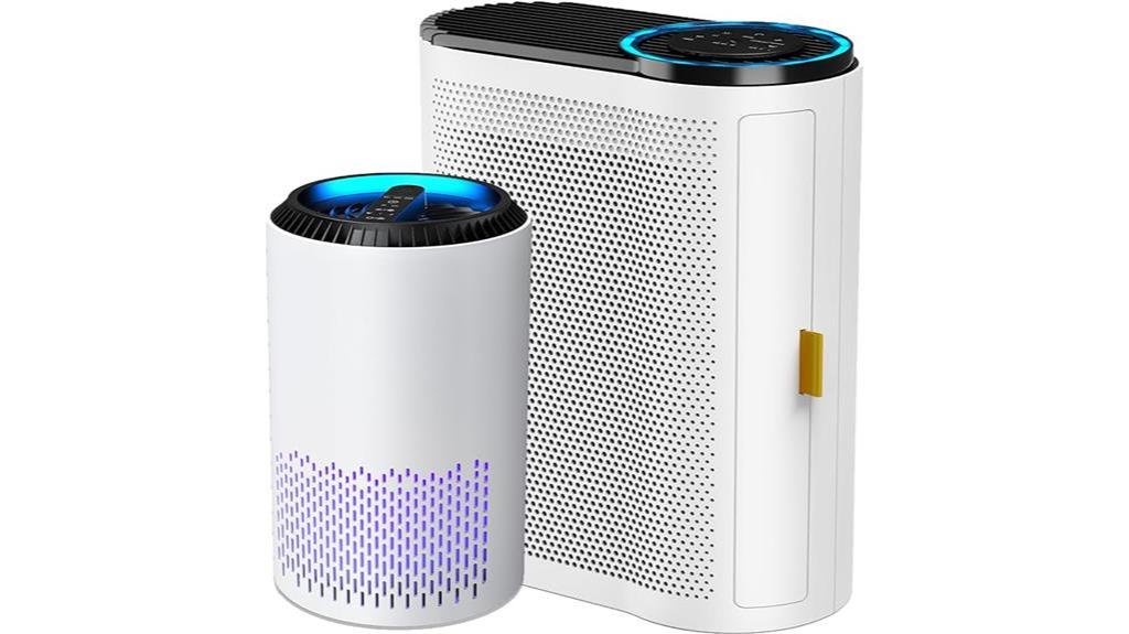 efficient air purification system