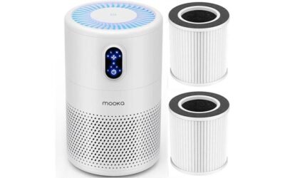 MOOKA B-D02L Air Purifier Review: Cleaner and Fresher Air