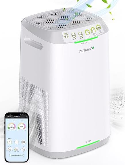 efficient air purifier review