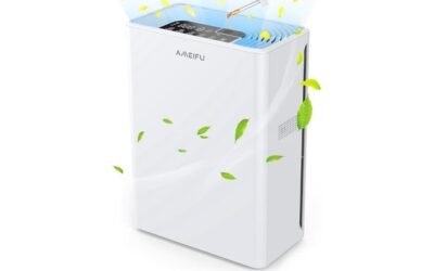 Air Purifier Review: Effective and Affordable Air Cleaner