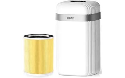 Welov P100 Air Purifier Review