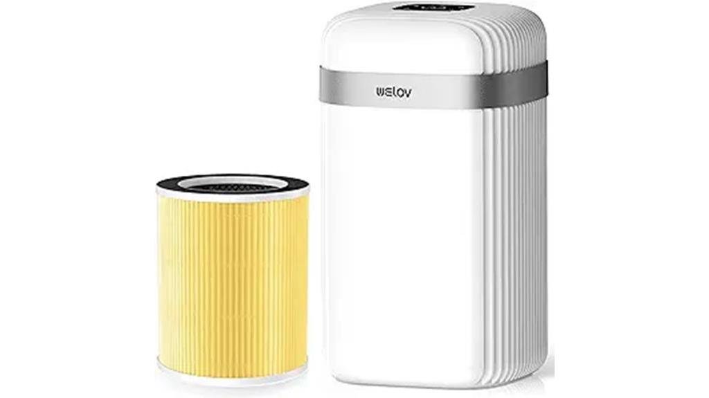 efficient and effective air purifier