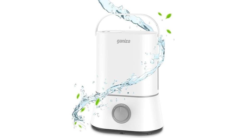 efficient and stylish humidifier