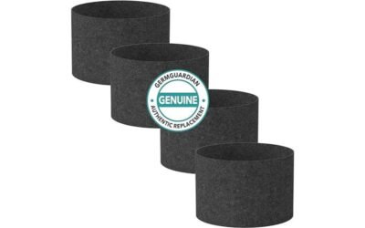 Germ Guardian FLT15CB4 Carbon Filter Replacements Review