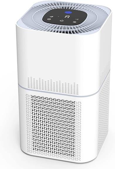 efficient hepa air purifier