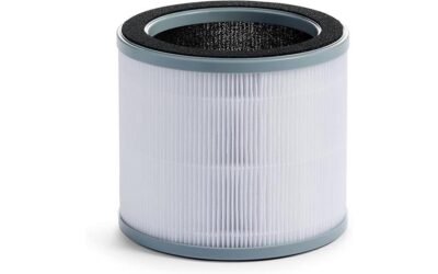 Holmes True HEPA Filter Review