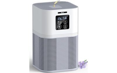 VEWIOR Air Purifier Review: Cleaner Air for Your Home