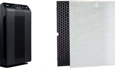 Winix 5500-2 Air Purifier Review: Clean Air at Home