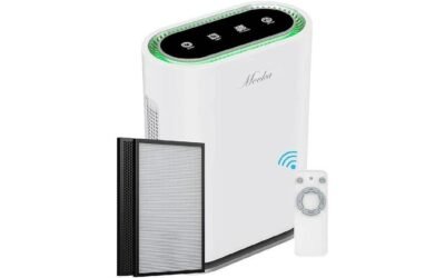 Mooka True HEPA+ Air Purifier Review