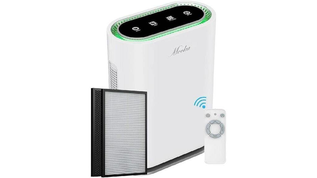 efficient true hepa air purifier