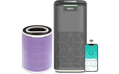 P200 PRO Air Purifier Review: Ultimate Power and Convenience