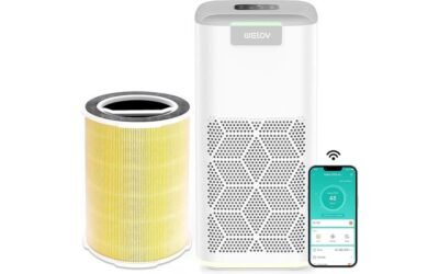 P200 PRO Air Purifier Review: Powerful, Smart, and Efficient