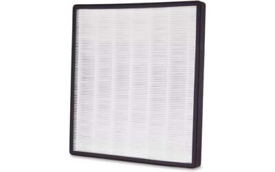 Holmes True HEPA Filter F Compatible Review