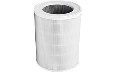 Genuine Winix 112180 Replacement Filter N Review