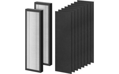 Chivalz FLT4825 Filter B Review: Clean Air Guaranteed