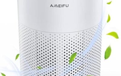 AMEIFU Air Purifier Review: Powerful, Efficient, and Versatile