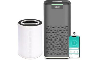 P200 PRO Air Purifier Review: Powerful and Smart