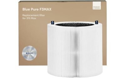 BLUEAIR Blue Pure 311i Max Filter Review